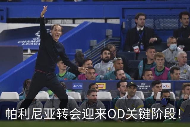 帕利尼亚转会迎来OD关键阶段！维拉、本菲卡展开竞争，拜仁已推动出售
