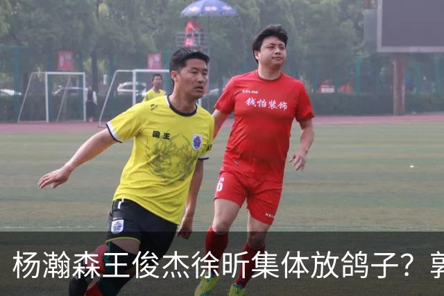 杨瀚森王俊杰徐昕集体放鸽子？郭士强8月这盘棋，怕是要靠周琦赵睿张镇麟来救了