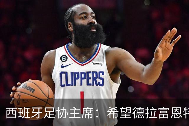 西班牙足协主席：希望德拉富恩特长期执教，成为西班牙的弗格森